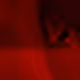 Vermillion Visions