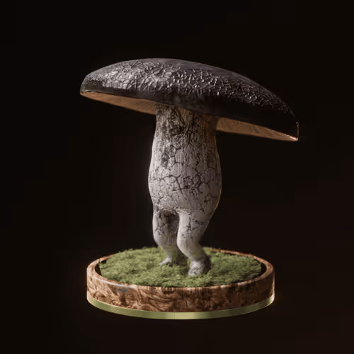 Fungi #55
