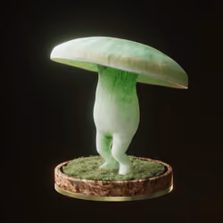 Fungi #31