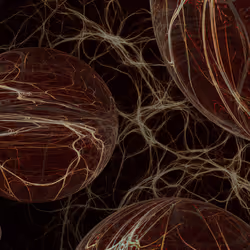 neural network4