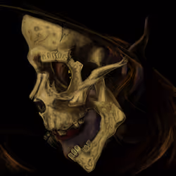 The Drow Witch
