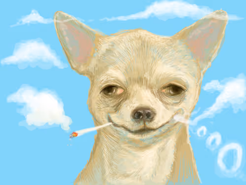 Item #20178190806327 Media