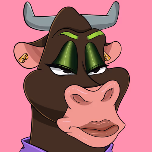 Chic Cow Bullzz Collection