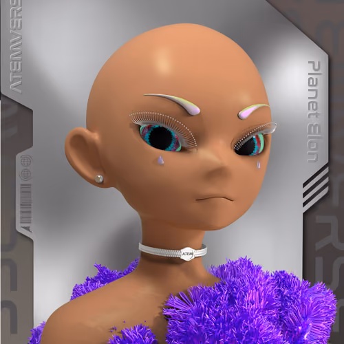 Atem NFT Passport - Planet Elon 1277