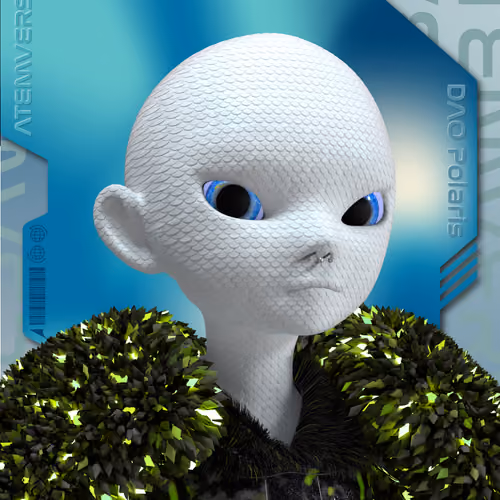 Atem NFT Passport - DAO Polaris 349