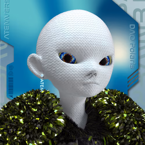 Atem NFT Passport - DAO Polaris 360