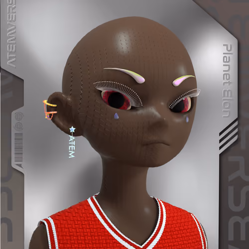 Atem NFT Passport - Planet Elon 687