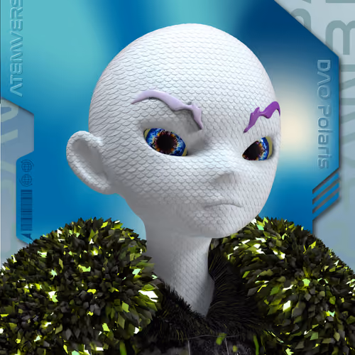 Atem NFT Passport - DAO Polaris 137