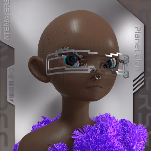 Atem NFT Passport - Planet Elon 1424
