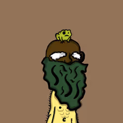 wiz #263
