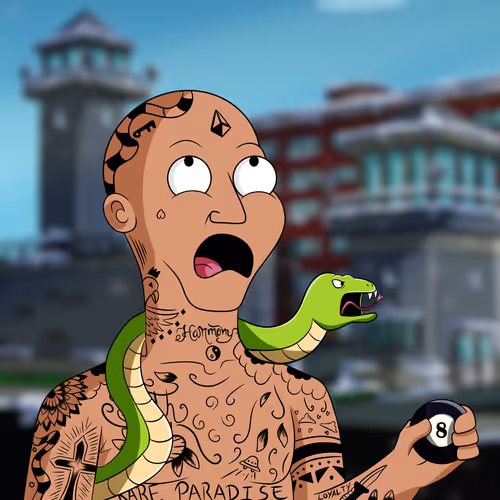 Rareparadise