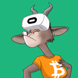 6598