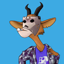 2156