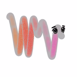 Squiggle Miladys #171