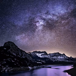 To the Stars