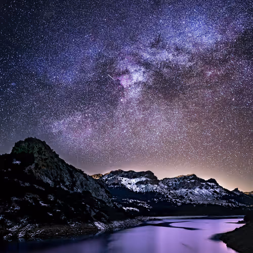 To the Stars