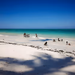 Zanzibar Kids