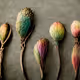Botanicals V2