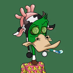 Alpha Duck #522