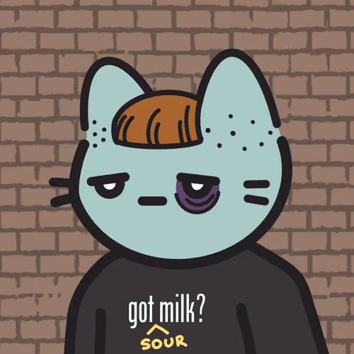 Uncool Cat #6937