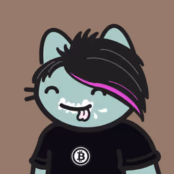 Uncool Cat #2905
