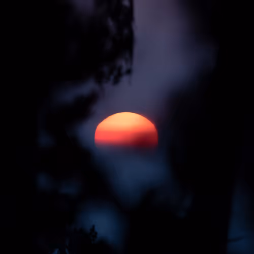 Brian ONeil Limited Editions