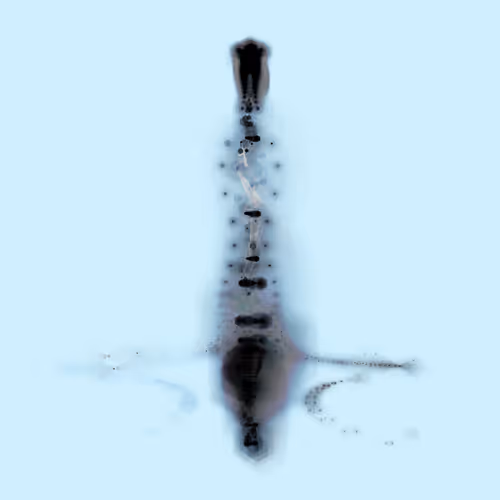 Spectral Being 525