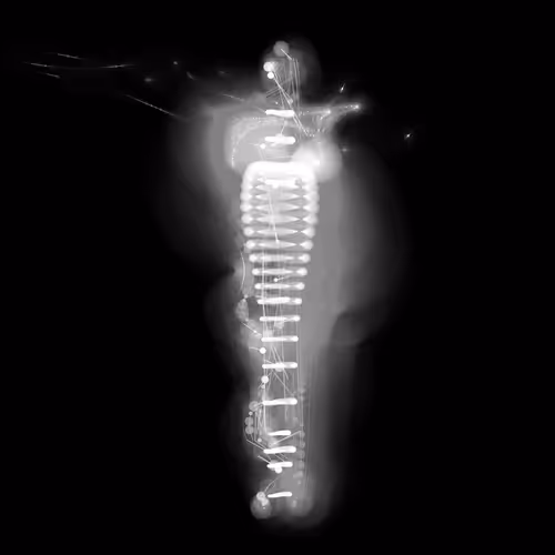 Spectral Being 350