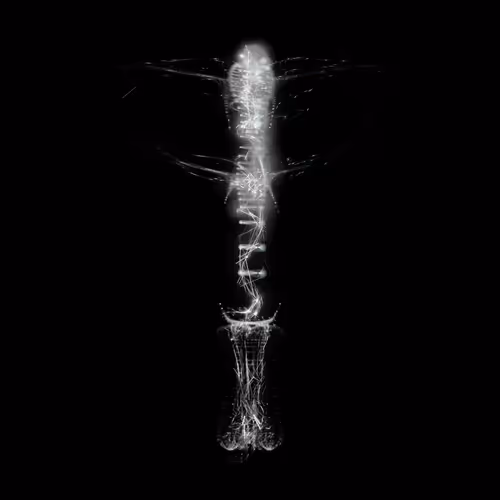 Spectral Being 553