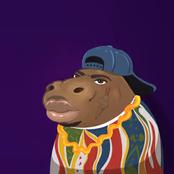 Lil' Hippo #1662