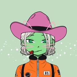 Cosmic Cowgirls #4269