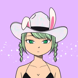 Cosmic Cowgirls #2719