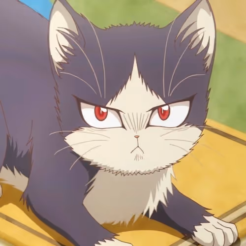 Catsclub V2