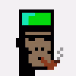 ApePunk #508