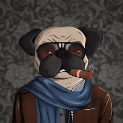 Pug In Black #0229