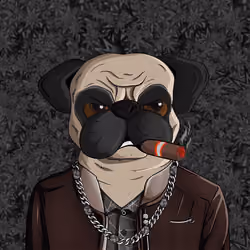 Pug In Black #0063