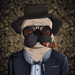 Pug In Black #0224