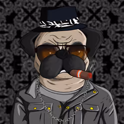 Pug In Black #0002