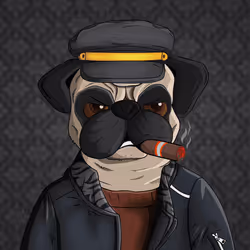 Pug In Black #0223
