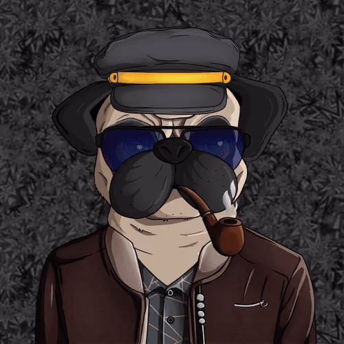 Pug In Black #0215