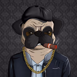 Pug In Black #0225