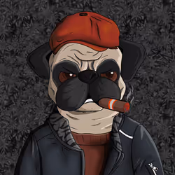 Pug In Black #0204