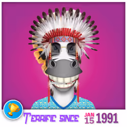 Zebra Birthday #623