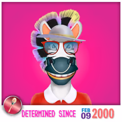 Zebra Birthday #5008