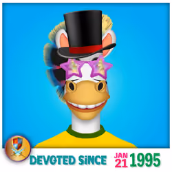 Zebra Birthday #4857