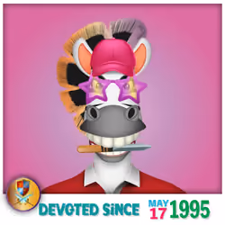 Zebra Birthday #5009