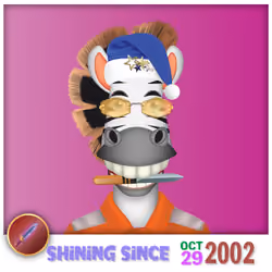 Zebra Birthday #5180