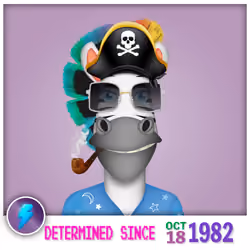 Zebra Birthday #5045