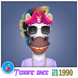 Zebra Birthday #2093