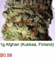 Silkroadnotdead